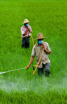 殺蟲劑產(chǎn)品